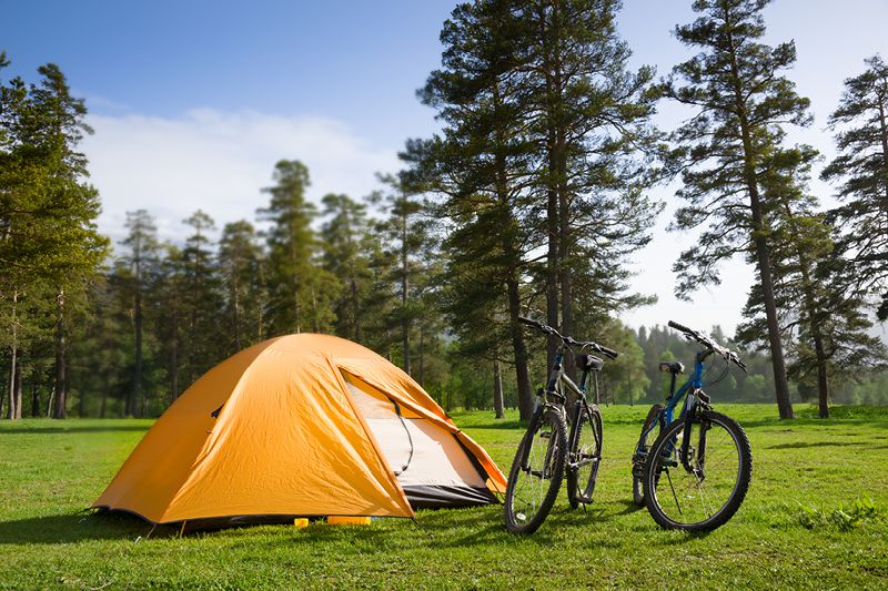 Veiligheid in de recreatieve omgeving - Als beheerder van een recreatiegebied of een park weet u hoe essentieel een veilige groene omgeving is voor uw bezoekers. Sterker, u hebt de wettelijke... - Sectoren