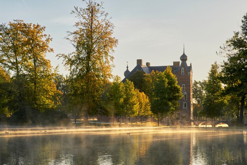 Boomtechnisch advies voor Cultureel Erfgoed - Als beheerder van een park met bomen rond een kasteel of op een landgoed staat u voor unieke uitdagingen en verantwoordelijkheden... - Sectoren